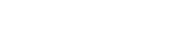Mega 6/45 Logo